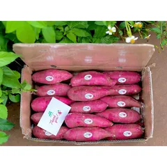 Khoai Lang Nhật Xuất Khẩu Size S (70-150g/củ) - Ngọt Dẻo Tự Nhiên, Chất Lượng Cao, Đóng 3kg/Thùng, Lựa Chọn Tốt Cho Gia Đình và Xuất Khẩu