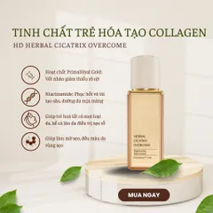 Tinh Chất Tái Tạo Collagen HD Derma Herbal Cicatrix Overcome - Trẻ Hóa Da, Giảm Nhăn, Phục Hồi Da Rạng Rỡ
