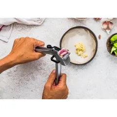 Máy ép tỏi Dreamfarm Garject DFGA5516 - Thép không gỉ, tự làm sạch, ép tỏi dễ dàng và nhanh chóng, giải pháp tuyệt vời cho bếp!