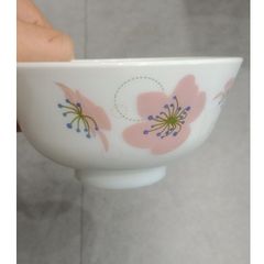 Bộ bát đĩa thủy tinh Larah Borosil 10 chi tiết - Dùng lò vi sóng, máy rửa bát, thiết kế sang trọng, sản xuất tại Ấn Độ