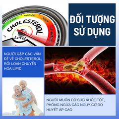 Trà Giảo Cổ Lam Đông Trùng Mộc Can - Hỗ Trợ Tim Mạch, Huyết Áp - Thảo Mộc Tự Nhiên, 25 Gói Lọc, Sản Phẩm Sạch, An Toàn