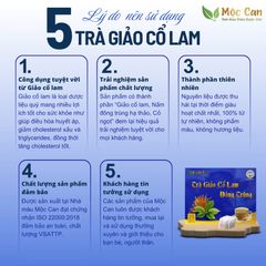 Trà Giảo Cổ Lam Đông Trùng Mộc Can - Hỗ Trợ Tim Mạch, Huyết Áp - Thảo Mộc Tự Nhiên, 25 Gói Lọc, Sản Phẩm Sạch, An Toàn