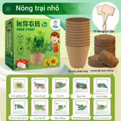 Bộ Kit Nhà Kính Trồng Cây Mini Cho Bé - Đồ Chơi Giáo Dục STEM Quan Sát Sinh Trưởng Cây Cảnh Thân Thiện Môi Trường