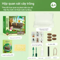 Bộ Kit Nhà Kính Trồng Cây Mini Cho Bé - Đồ Chơi Giáo Dục STEM Quan Sát Sinh Trưởng Cây Cảnh Thân Thiện Môi Trường