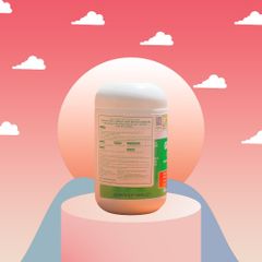 Viên uống bổ não Nature’s Way Ginkgo 2000 - Tăng cường trí nhớ, cải thiện chức năng nhận thức, 120 viên nhập khẩu chính ngạch