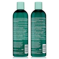 Combo Dầu Gội & Xả Hask Tea Tree Oil & Rosemary Phục Hồi Tóc Khỏe Chắc 355ml - Giảm Gàu, Dưỡng Ẩm Da Đầu