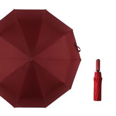 Ô thông minh tự động gấp gọn Ajisai Nhật Bản