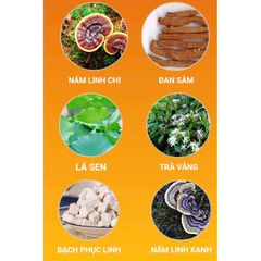 Viên Uống Giảm Cân LIULY 100% Tự Nhiên - Hỗ Trợ Đốt Mỡ, Kiểm Soát Cảm Giác Thèm Ăn - Sản Phẩm Hiệu Quả Tại Nhà