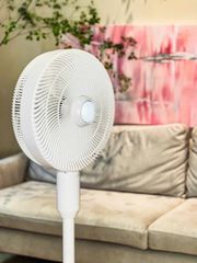 Quạt Cây Phun Sương Tạo Ẩm DE MULLER - 2 trong 1, Động Cơ DC Tiết Kiệm Điện, 7 Tốc Độ, Remote Điều Khiển, Phù Hợp Phòng Lớn