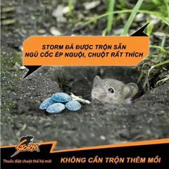 5 Gói Viên Nén Diệt Chuột STORM 20 Viên - Giải Pháp Diệt Chuột An Toàn và Hiệu Quả, Công Nghệ Sinh Học Thế Hệ Mới