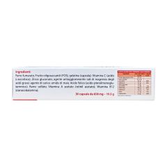 Viên Uống Iron Forte Plus Fobe Bổ Sung Sắt Cho Phụ Nữ Sau Sinh, Người Thiếu Máu N2