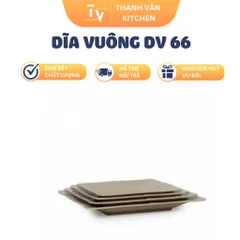 Dĩa Vuông DV 66 (TV894)