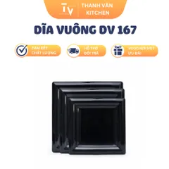 Dĩa Vuông DV 167 (TV898)