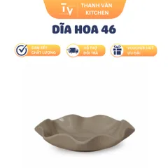 Dĩa Hoa 46 (TV850)