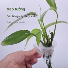 Cốc Nhựa Đôi Trồng Cây Thủy Sinh Móc Thành Bể - Giỏ Trồng Khoai Lang, Cỏ Nước, Phụ Kiện Hồ Cá An Toàn, Tiện Lợi