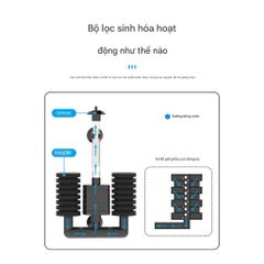 Lọc Vi Sinh Bông Đôi SunSun JF-80 JF-120 - Thiết Kế Tinh Tế Với Bơm 3W Cho Hồ Cá Sạch, Chính Hãng Trung Quốc