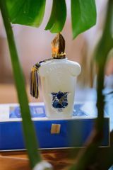 Nước Hoa Unisex Xerjoff Quattro Pizzi Casamorati EDP 10ml - Hương Amber Floral Quyến Rũ, Sang Trọng từ Ý