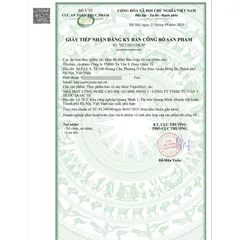 Gel Bổ Sung Năng Lượng Nhanh VSport 15g - Thực Phẩm Chức Năng Dành Cho Người Chơi Thể Thao và Người Cần Tỉnh Táo