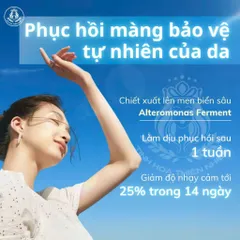 Kem Chống Nắng Kiềm Dầu Vxebra 50g - Nâng Tone Nhẹ, Dưỡng Ẩm, Chống Nước Cho Da Mặt, Phù Hợp Da Dầu, Chống Tia UV
