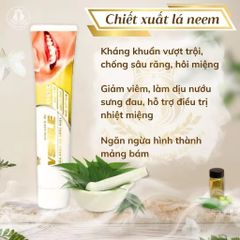Kem đánh răng Vsmile - Giúp hơi thở thơm mát, ngăn ngừa mảng bám, chăm sóc răng miệng và ngừa đột quỵ hiệu quả