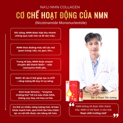 Nước Uống Collagen Na'li Nutri - Hỗ Trợ Trẻ Hóa Da, Căng Bóng, 10 Chai 50ml - Thành Phần Đức, Nhật, Vitamin C, Yến Sào