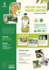 Giấm Mật Hoa Dừa Hữu Cơ Sokfarm - Giấm Chua Tự Nhiên Giàu Lợi Khuẩn và Enzyme, An Toàn, Dễ Dùng Trong Ẩm Thực