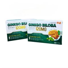Viên Uống Ginkgo Biloba 120mg - Hỗ Trợ Bổ Não, Tăng Cường Tuần Hoàn Máu Não - Hộp 30 Viên Duy Trì Sức Khỏe Tinh Thần