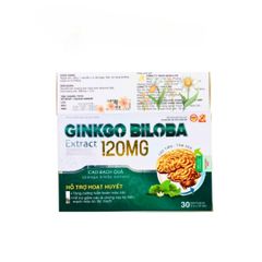 Viên Uống Ginkgo Biloba 120mg - Hỗ Trợ Bổ Não, Tăng Cường Tuần Hoàn Máu Não - Hộp 30 Viên Duy Trì Sức Khỏe Tinh Thần