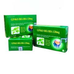Viên uống Ginkgo Biloba 120mg - Hỗ trợ tăng cường lưu thông máu não, cải thiện trí nhớ - Hộp 30 viên chất lượng cao