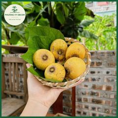 Làn Tre Đan Trang Trí - Khay Đựng Bánh Kẹo & Hoa Quả Phương Vy Decor, Sản Phẩm Thủ Công Thân Thiện Môi Trường