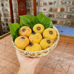 Làn Tre Đan Trang Trí - Khay Đựng Bánh Kẹo & Hoa Quả Phương Vy Decor, Sản Phẩm Thủ Công Thân Thiện Môi Trường