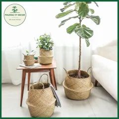 Giỏ Cói Chất Liệu Tự Nhiên - Túi Đựng Đồ Đa Năng, Trang Trí Nhà Cửa, Trồng Cây, Thân Thiện Với Môi Trường