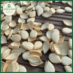 Mẹt tre hình lá trang trí đồ ăn - Đĩa đựng hạt, gia vị, phụ kiện chụp ảnh - Sản phẩm an toàn sức khỏe, kích thước đa dạng