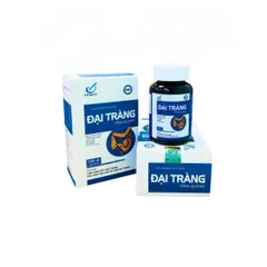 Viên Uống Đại Tràng Vĩnh Quang - Hỗ Trợ Giảm Đau Bụng, Thanh Nhiệt, Bảo Vệ Đường Ruột - Hộp 40 Viên Thực Phẩm Chức Năng