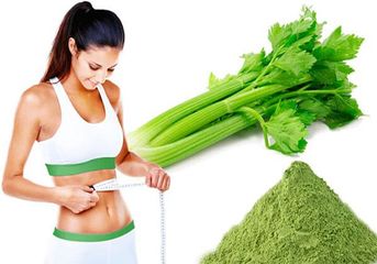 Nước Ép Cần Tây Tươi One Life - Giải Pháp Detox, Giảm Cân An Toàn, Không Chất Bảo Quản, Công Nghệ Nano Cho Làn Da Khỏe Mạnh