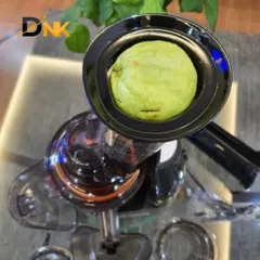 Máy Ép Chậm Caso SJW550 - Đa Năng Làm Nước Ép Tươi và Kem Trái Cây, Công Suất 240W, Tốc Độ 60v/phút, Thiết Kế Sang Trọng