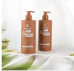 Dầu Gội Ginkgo Thanh Mộc Hương 500ml - Nuôi Dưỡng Mái Tóc Óng Mượt, Khỏe Mạnh, Giảm Ngứa Da Đầu, Phục Hồi Tóc Hư Tổn