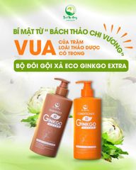 Dầu Gội Ginkgo Thanh Mộc Hương 500ml - Nuôi Dưỡng Mái Tóc Óng Mượt, Khỏe Mạnh, Giảm Ngứa Da Đầu, Phục Hồi Tóc Hư Tổn