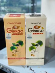 Dầu Gội Ginkgo Thanh Mộc Hương 500ml - Nuôi Dưỡng Mái Tóc Óng Mượt, Khỏe Mạnh, Giảm Ngứa Da Đầu, Phục Hồi Tóc Hư Tổn