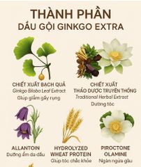 Dầu Gội Ginkgo Thanh Mộc Hương 500ml - Nuôi Dưỡng Mái Tóc Óng Mượt, Khỏe Mạnh, Giảm Ngứa Da Đầu, Phục Hồi Tóc Hư Tổn