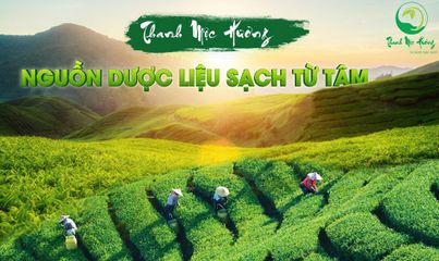 Dầu xả Ginkgo Thanh Mộc Hương 500ml - Phục hồi tóc hư tổn, cấp ẩm, cho tóc suôn mượt và chắc khỏe, phù hợp cho cả nam và nữ.