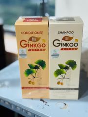 Dầu xả Ginkgo Thanh Mộc Hương 500ml - Phục hồi tóc hư tổn, cấp ẩm, cho tóc suôn mượt và chắc khỏe, phù hợp cho cả nam và nữ.