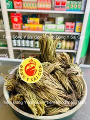 Cây Trường Sinh - Móng Lưng Rồng 1kg - Thực Phẩm Khô Hỗ Trợ Sức Khỏe, Chữa Đau Nhức, Bỏng, Trĩ Xuất Huyết Việt Nam