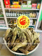 Cây Trường Sinh - Móng Lưng Rồng 1kg - Thực Phẩm Khô Hỗ Trợ Sức Khỏe, Chữa Đau Nhức, Bỏng, Trĩ Xuất Huyết Việt Nam