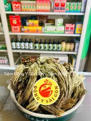 Cây Trường Sinh - Móng Lưng Rồng 1kg - Thực Phẩm Khô Hỗ Trợ Sức Khỏe, Chữa Đau Nhức, Bỏng, Trĩ Xuất Huyết Việt Nam