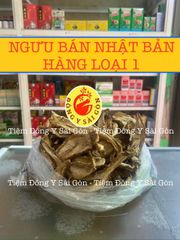 Ngưu Bàng Khô Nhập Khẩu Nhật Bản 100g - Thanh Nhiệt Giải Độc, Hỗ Trợ Tiểu Đường, An Toàn Cho Sức Khỏe
