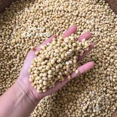 Đậu Nành Quê 1KG - Hạt Đỗ Tương Không Biến Đổi Gen, Chứa Nhiều Dinh Dưỡng, Thay Thế Hạt Ăn Vặt Tốt Cho Sức Khỏe