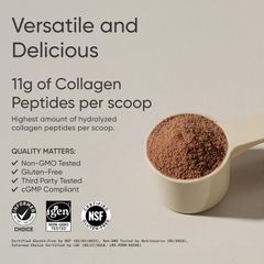 Bột uống Collagen Peptides Dark Chocolate 640g Sports Research [Hàng Mỹ]