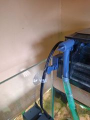 Hít Kính Giữ Ống Dây Oxy - CO2 Cho Hồ Cá Cảnh - Phụ Kiện Bể Cá An Toàn và Thẩm Mỹ