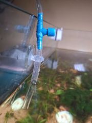 Hít Kính Giữ Ống Dây Oxy - CO2 Cho Hồ Cá Cảnh - Phụ Kiện Bể Cá An Toàn và Thẩm Mỹ